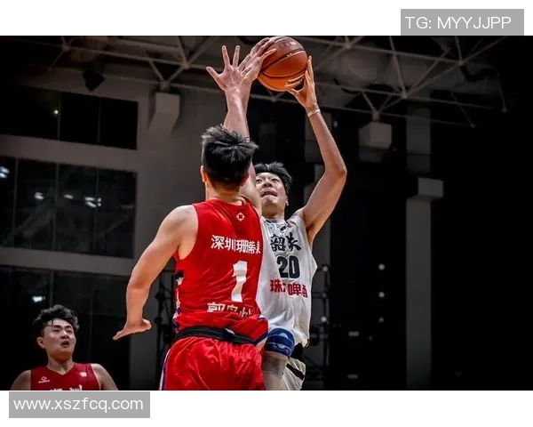 广东男篮对阵深圳男篮CBA精彩录像回放分析与赛后点评