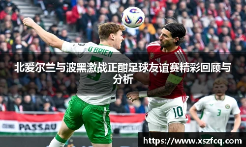 北爱尔兰与波黑激战正酣足球友谊赛精彩回顾与分析